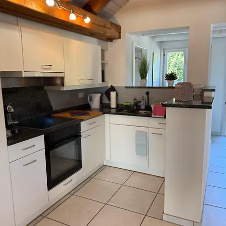 Schoene Dachwohnung Moebliert Und Mit Parkmoeglichkeiten Apartament