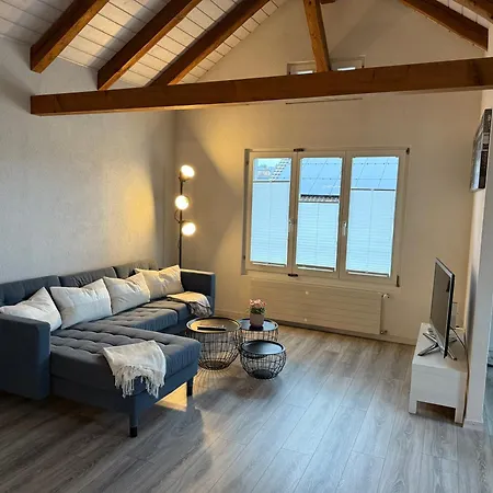 Schoene Dachwohnung Moebliert Und Mit Parkmoeglichkeiten * ブルクドルフ