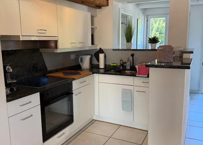 Schoene Dachwohnung Moebliert Und Mit Parkmoeglichkeiten Apartament